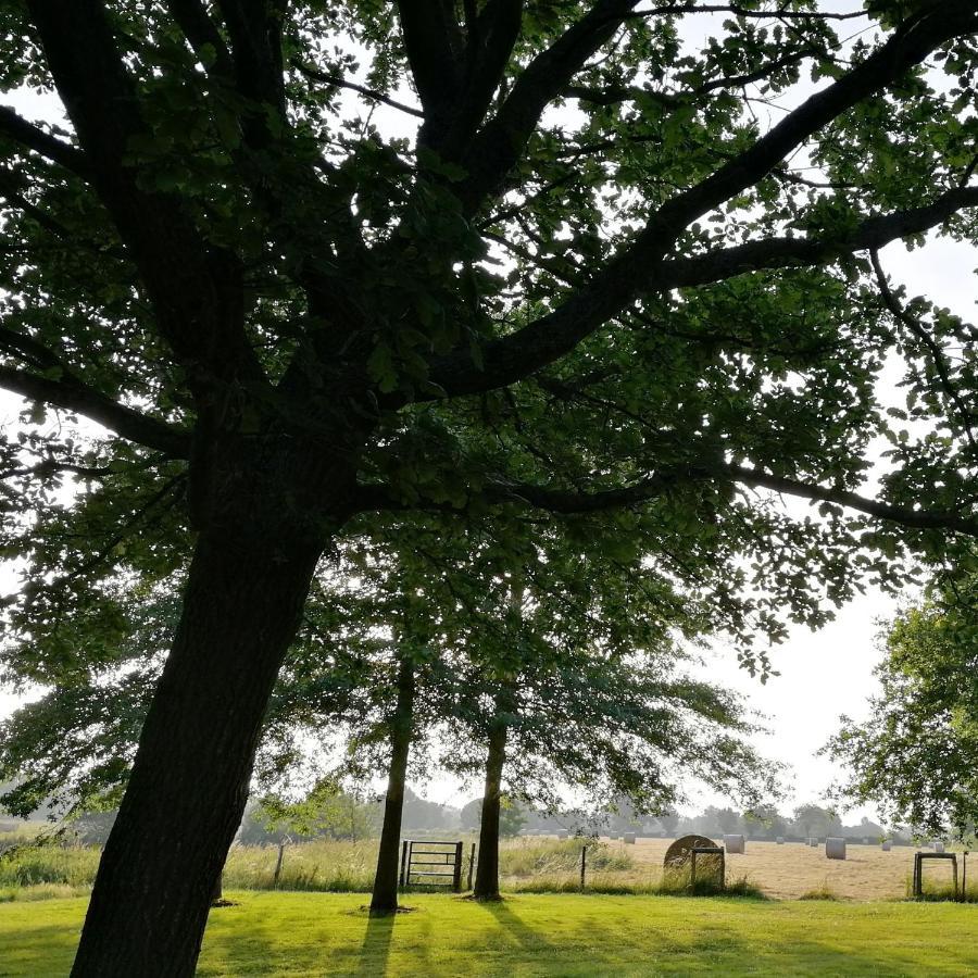 Le Gite Du Fou Logement 8 Pers 13Mn Puy Du Fou Saint-Amand-sur-Sevre Экстерьер фото